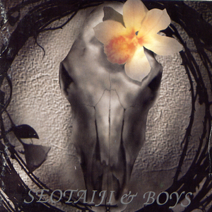 Seo Taiji and Boys IV cover