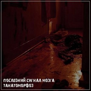 Avatar for Последний Сигнал Мозга