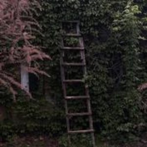 somewhere, it's sunny