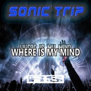 Where Is My Mind