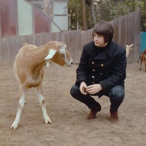 ブライアン・ウィルソン 的头像