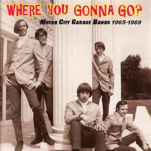 Where You Gonna Go? Motor City Garage Bands 1965-1969