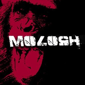 Molosh 的头像