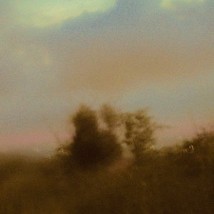 Sueños del monte