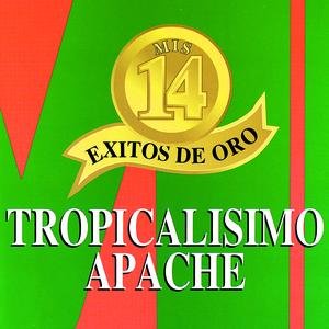 Mis 14 Exitos De Oro