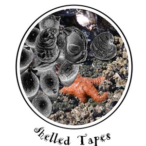 Shelled Tapes 的头像