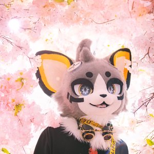Mantlegen 的头像