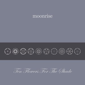 Ten Flowers For The Shade (2012)