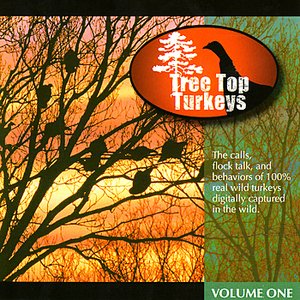 Tree Top Turkeys, Vol. 1
