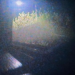 i think i hate it here.