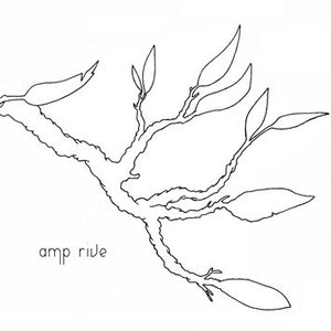 Amp Rive 的头像
