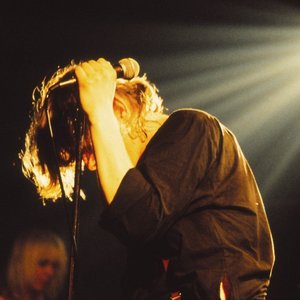 Swans 的头像