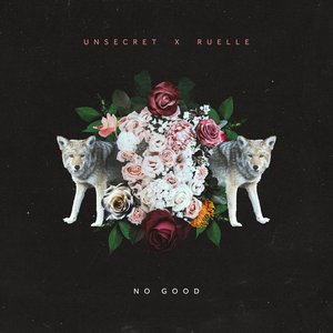 No Good (feat. Ruelle) - Single