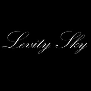 Levity Sky 的头像