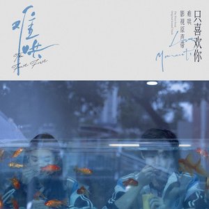电视剧《难哄》影视原声带·只喜欢你Love Moments