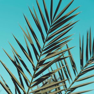 Avatar for Aesthetic Sounds