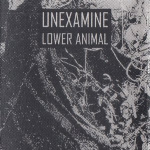 Lower Animal