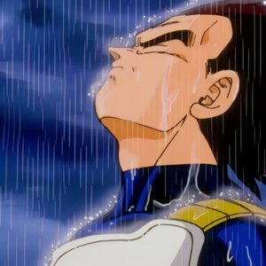 Vegeta 的头像