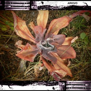 ARKIVO