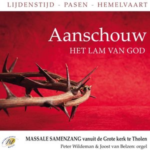 Aanschouw het Lam van God