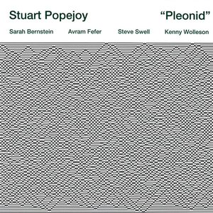 Pleonid