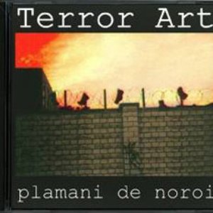 Plamani de Noroi