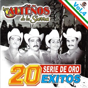 20 Exitos Series De Oro Vol.4