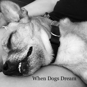 When Dogs Dream