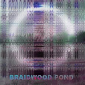 Braidwood Pond