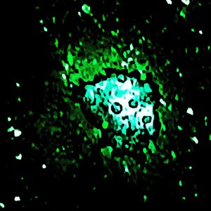 Avatar for OANFAZISS