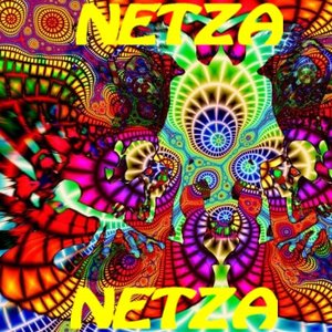 Netza 的头像