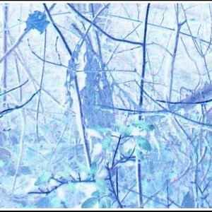 Untitled 00
