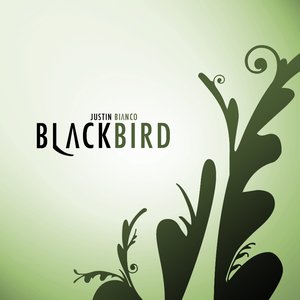 Blackbird