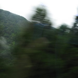 fog island 的头像