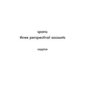 Spans: Three Perspectival Accounts