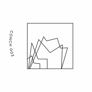 Conch 003