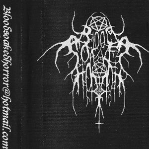 Demo 1
