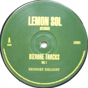 Avatar for Bizarre Tracks