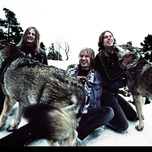 Wolf photo provided by Last.fm