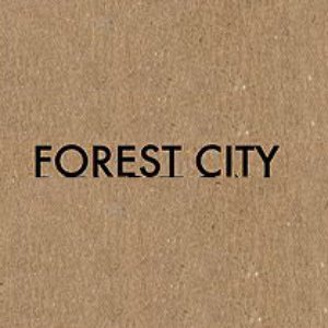 Image for 'Forest City'