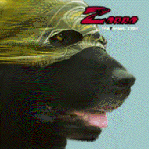 Zorro