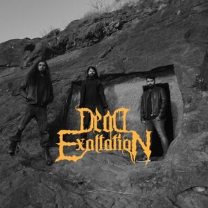 Dead Exaltation 的头像