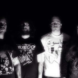 Sedimentum 的头像