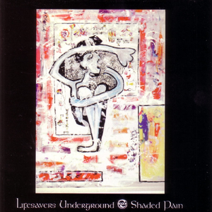 Shaded Pain cover
