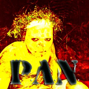 “PANdrogynous Ad Nauseum”的封面