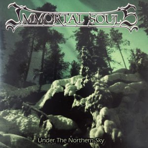 Under the Northern Sky