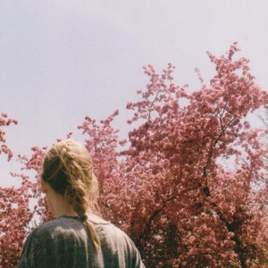 All Kinds of Flowers