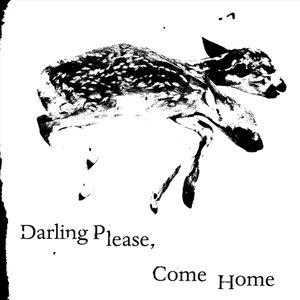 Darling Please, Come Home