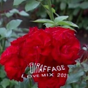 LOVE MIX 2021