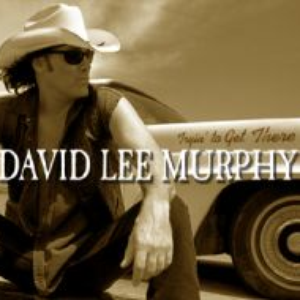 David Lee Murphy